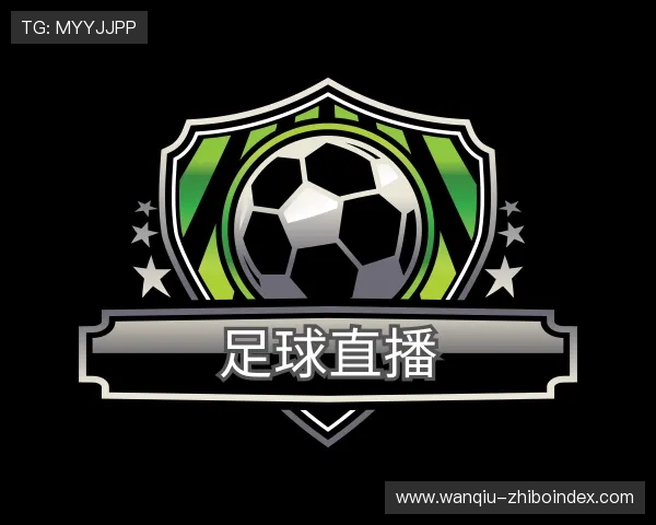 关于欧洲杯直播